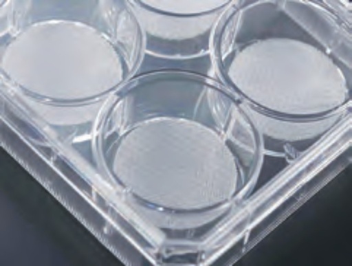 [TCP237-8x1NO] Cell Culture Scaffold, 6 well Plate